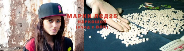 a pvp Белокуриха