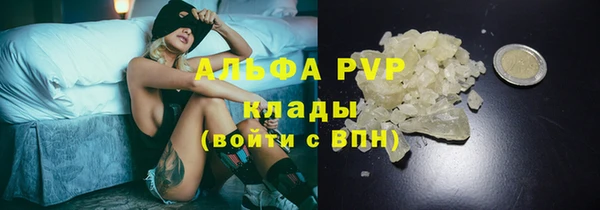 a pvp Белокуриха