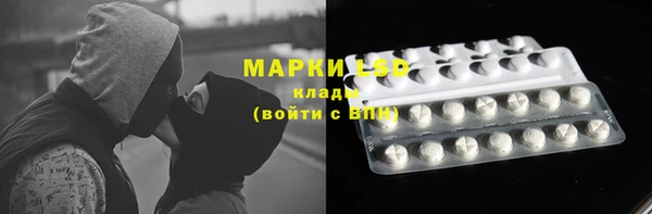 гидра Белоозёрский