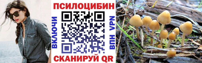 Галлюциногенные грибы Cubensis  Светлый 